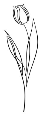 Çizgili bir lale. Minimalizm tarzında lale. Çiçek baharın bir sembolüdür. Devamlı bir çizgi kullanarak çizilmiş bir çiçeğin tasviri. Çiçekçi için lale logosu.