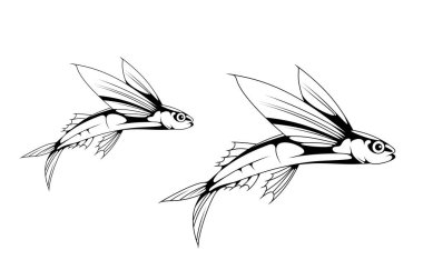 Yüzgeçleri açık uçan balıkların siyah beyaz çizimi. Deniz teması, minimalizm, izole edilmiş uçan balık.