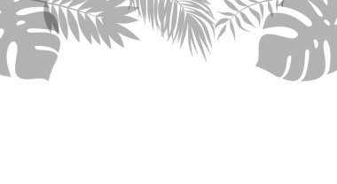 Beyaz arka planda tropikal yaprakların yansıması. Dekorasyon, afişler, posterler, davetiyeler ve dekoratif projeler için minimalist tasarım.