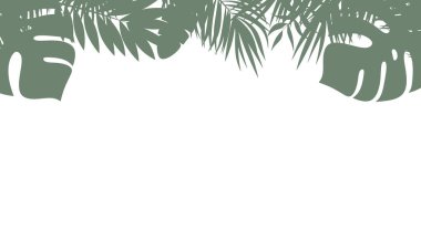 Beyaz arka planda tropikal yaprakların yansıması. Dekorasyon, afişler, posterler, davetiyeler ve dekoratif projeler için minimalist tasarım.