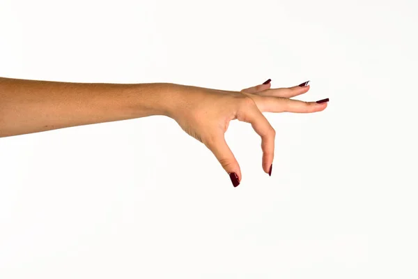 Рука Молодой Женщины Делающей Знак Белый Фон — стоковое фото