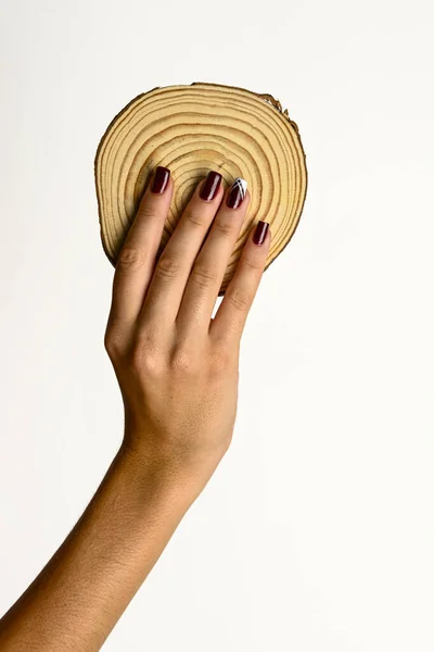 Hände Einer Jungen Frau Mit Einem Stück Holz Weißer Hintergrund — Stockfoto