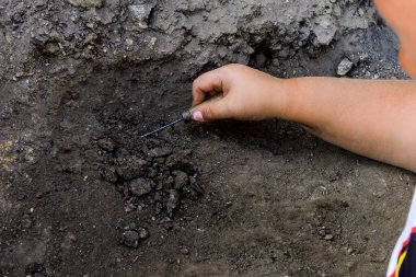 Paleontolog bir dinozorun kemiklerini temizliyor.