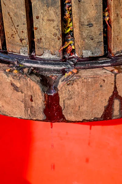 stock image Old wooden press with must inside. Pressing grapes for red wine