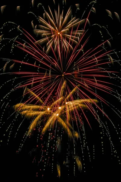 Fogos Artifício Coloridos Explodiram Céu Noturno — Fotografia de Stock