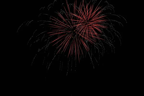Fuochi Artificio Colorati Esplosi Nel Cielo Notturno — Foto Stock