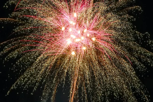 Fogos Artifício Coloridos Explodiram Céu Noturno — Fotografia de Stock