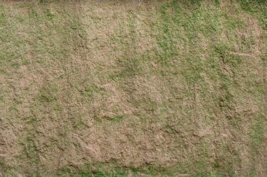 High-detail texture of green earth, perfect for natural and organic concepts.