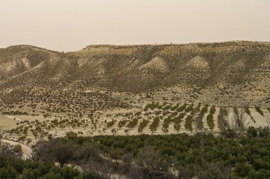 Rolling desert hills under a hazy sky, dotted with sparse shrubbery and trees.