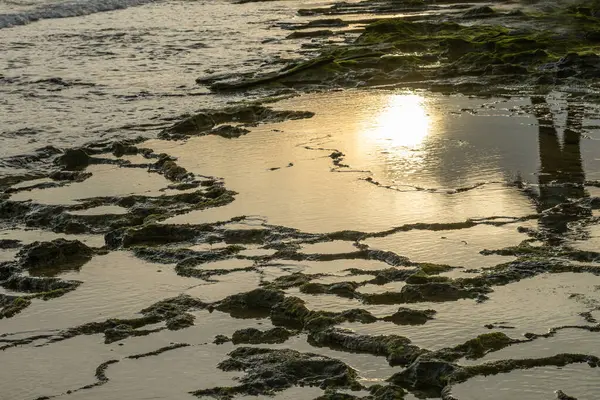 Gün batımının altın ışığı kıyıdaki gelgit havuzlarının ve kayaların arasında suyu yansıtıyor..