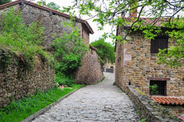 Geleneksel taş evlerle çevrili sakin, kaldırım taşı kaplı bir yol ve Avrupa 'nın tuhaf bir köyünde yemyeşil bir alan.