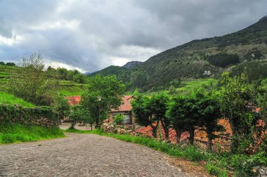 Çetin yeşil tepelerin ve bulutlu gökyüzünün ortasındaki tenha bir köye doğru giden davetkar bir kaldırım taşı yolu.