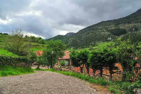 Çetin yeşil tepelerin ve bulutlu gökyüzünün ortasındaki tenha bir köye doğru giden davetkar bir kaldırım taşı yolu.