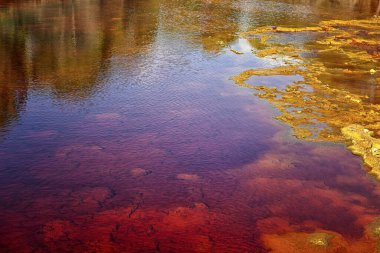 Close-up of iron sulfate formations creating a mosaic of reds and oranges in the Rio Tinto's waters