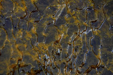 Micro-channels snake through the iron and sulfur-laden rocks of Rio Tinto, creating an abstract natural pattern