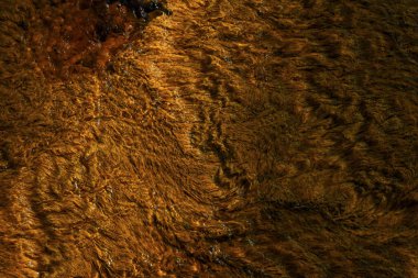 Vivid details of the iron-rich sediment and microbial mats along the banks of Rio Tinto.