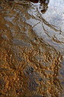 Vivid details of the iron-rich sediment and microbial mats along the banks of Rio Tinto.