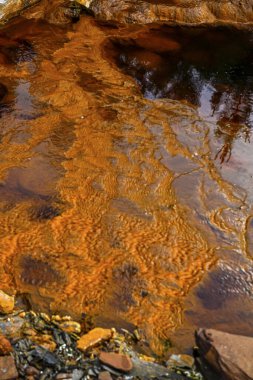 The Rio Tinto in Huelva, Spain, exhibits striking red and orange iron-rich deposits and green microorganism traces
