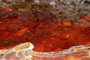 Rich, rust-colored waters of Rio Tinto reflecting the verdant riverside landscape in a serene setting