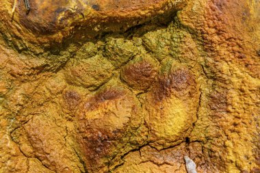 Güneş ışığı, Rio Tinto bölgesindeki kuru ve çatlamış kil toprağın üzerine sıcak bir ışık saçıyor.