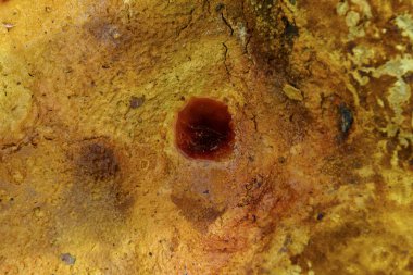 Güneş ışığı, Rio Tinto bölgesindeki kuru ve çatlamış kil toprağın üzerine sıcak bir ışık saçıyor.