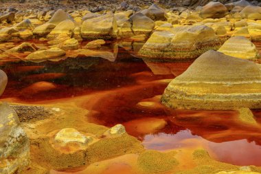 Rio Tinto 'nun eşsiz arazisindeki kırmızımsı, asitli sulardan demir kaplı taşlar çıkar.