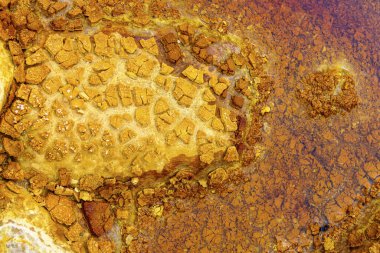 Güneş ışığı, Rio Tinto bölgesindeki kuru ve çatlamış kil toprağın üzerine sıcak bir ışık saçıyor.