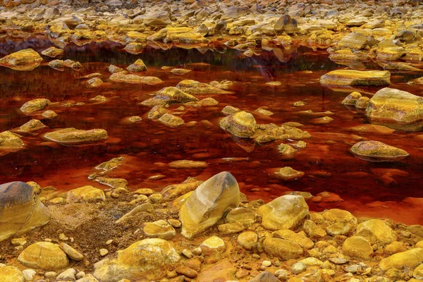 The warm, orange mineral deposits of Rio Tinto sculpt a textured landscape with reflective puddles