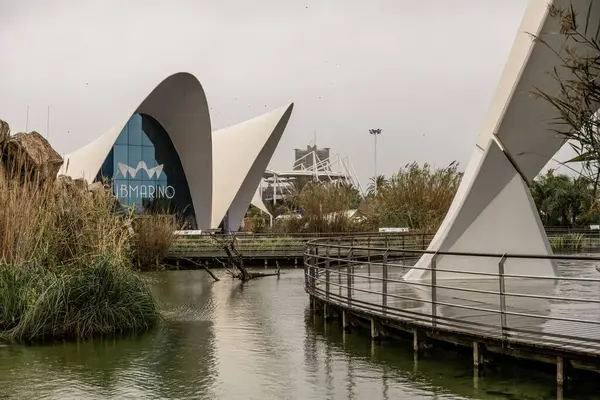 İspanya 'nın Valencia şehrinde yağmurlu bir günde Avrupa' nın en büyük akvaryumu olan okyanus sisteminin çarpıcı modern mimarisi