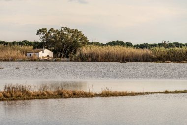 A charming thatched-roof cottage stands by the water's edge in Albufera Natural Park near Valencia, offering a peaceful rural retreat.