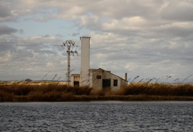 A charming thatched-roof cottage stands by the water's edge in Albufera Natural Park near Valencia, offering a peaceful rural retreat.