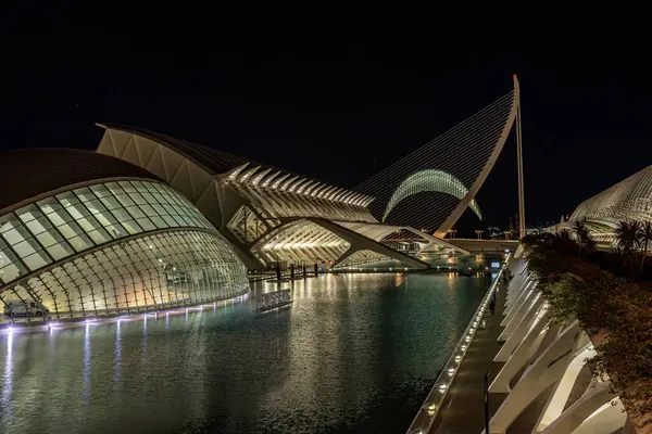 Sanat ve Bilim Şehri 'nin aydınlatılmış görüntüsü, gece gökyüzüne karşı modern tasarımı sergiliyor.