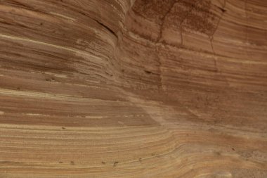 Close-up of intricate sandstone swirls and erosion patterns, highlighting the natural beauty and texture of sedimentary rock formations. Perfect for geological themes and backgrounds.