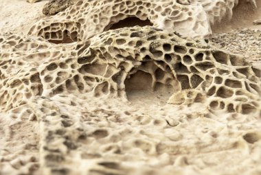 Close-up of intricate honeycomb weathering patterns on sandstone rocks. Showcases natural textures and erosion features. Ideal for geological studies and nature backgrounds.