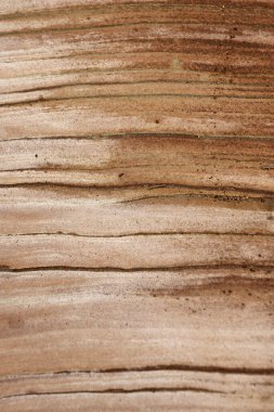 Close-up of intricate sandstone swirls and erosion patterns, highlighting the natural beauty and texture of sedimentary rock formations. Perfect for geological themes and backgrounds.