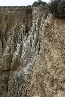 Portekiz, Portimao yakınlarında yemyeşil bir ormanla çevrili aşınmış bir uçurum manzarası. Dramatik jeolojik özellikler yoğun bitki örtüsüyle tezat oluşturuyor..