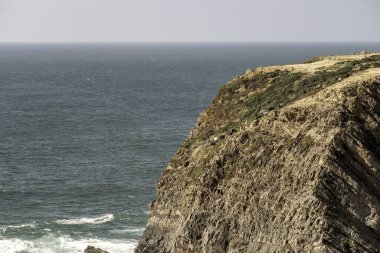 Açık bir günde arka planda okyanus olan kayalık bir sahil kayalığında otlayan bir keçi sürüsü..