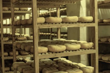 Menorca, İspanya 'da bir peynir yaşlanma odasının içeriden görünüşü, zamanla olgunlaşan peynir tekerlekleriyle dolu rafları gösteriyor..