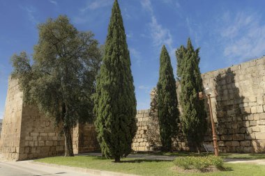 İspanya 'nın Merida kentindeki antik Roma duvarları, uzun selvi ağaçları ve açık mavi gökyüzünün altında bir sokak lambası ile çevrili. Tarihi taş yapılar şehrin zengin kültürel mirasını vurguluyor..