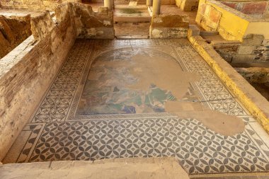 Çok iyi korunmuş, karmaşık desenler ve solmuş eserler tasvir eden bir Roma mozaiği, İspanya 'nın Merida kentindeki antik bir bölgede yer alıyor. Mozaikte Roma medeniyetinin sanatsal zanaatı sergileniyor.