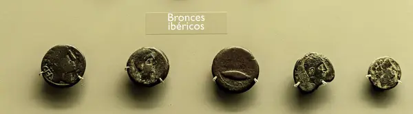 stock image Collection of ancient Iberian bronze coins on display at the Merida Museum, Spain, showcasing early numismatic history and cultural artifacts.