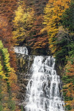 Bujaruelo 'daki Escusaneta vadisinde, Ordesa Ulusal Parkı' nda yüksek bir şelale..