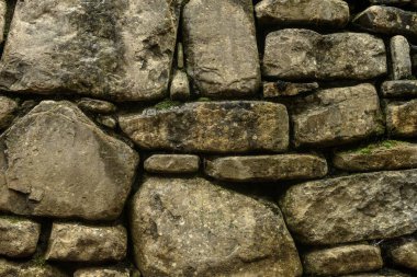 Canlı yeşil yosunlarla kaplı eski bir taş duvarın detaylı bir görüntüsü, kırsal dokusunu ve doğal gelişimini vurguluyor..