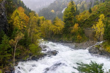 Ara Nehri Bujariego Vadisi 'nden Aragonese Pireneleri' ndeki Ordesa Ulusal Parkı 'na doğru ilerliyor..