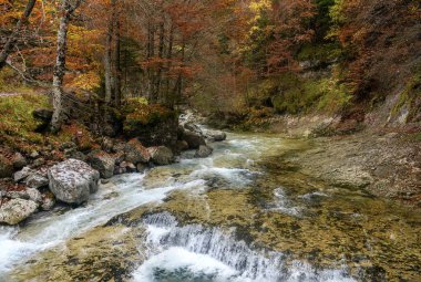 Kristal gibi berrak bir nehir ormanlık bir vadide süzülüyor, dramatik uçurumlar ve sis sakin bir doğal manzara yaratıyor..
