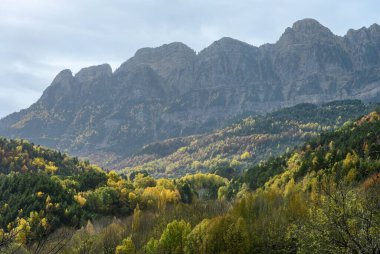 Yoğun sonbahar yaprakları ve çarpıcı bulutlu gökyüzü ile çevrili karla kaplı bir dağın dramatik manzarası..