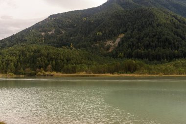 Suda ışıl ışıl yansımaları olan Pineta Barajı 'nın ve arka planda gür, renkli bir ormanın olduğu huzurlu bir manzara..