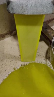 Altın zeytinyağı çıkarma işlemi sırasında presten toplama tankına akıyor..