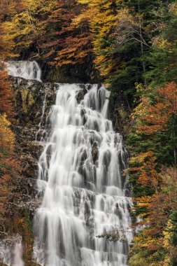 Picturesque high mountain waterfall in the Escusaneta ravine in Bujaruelo, in the Ordesa National Park. clipart