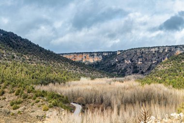 Wolf River Kanyonu 'nun eşsiz kaya oluşumları, çam ağaçları ve bulutlu gökyüzü manzarası..
